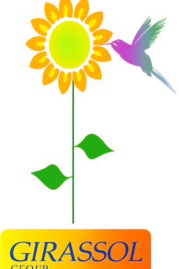 Girassol Group