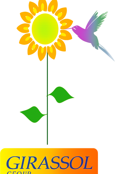 Girassol Group