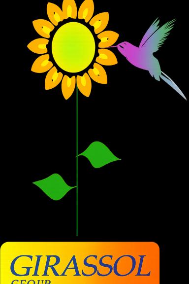 Girassol Group